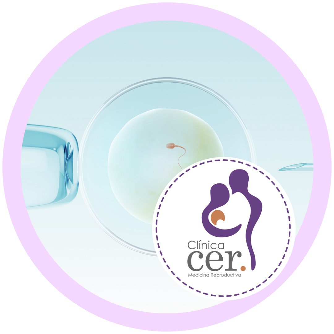 Descuento en tratamiento de FIV/ICSI con valor Fonasa