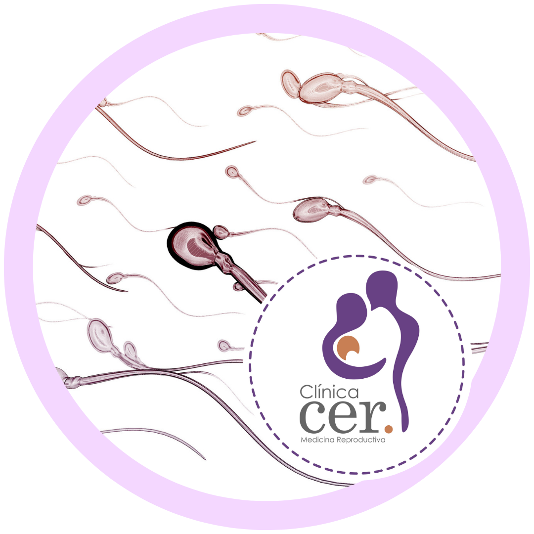 Descuento en Muestra (espermios) Heteróloga